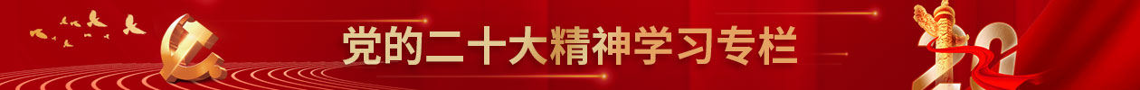 ng电子游戏